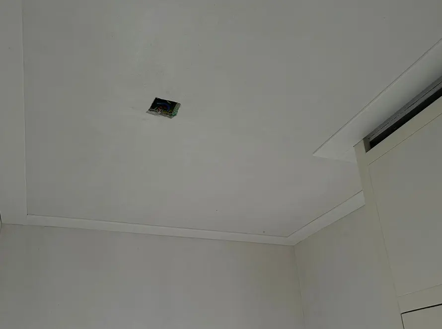 Plafond plinten